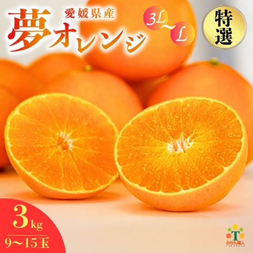 【特選品】 みかん職人の夢オレンジ３kg 【発送期間：2025年11月中旬～なくなり次第終了】 みかん 愛果28号 紅マドンナ と同品種 紅まどんな と同品種 柑橘 果物 果実 フルーツ かんきつ デザート ミカン 夢オレンジ 贈答 プレゼント ギフト 贈り物 特選  年末 年始 愛媛県 愛南町 みかん職人武田屋 129137 - 愛媛県愛南町
