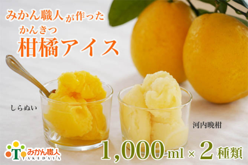 みかん職人が作った柑橘アイス1000ml×2種(河内晩柑・しらぬい) 129190 - 愛媛県愛南町