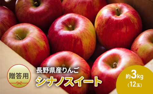 りんご 先行予約 長野 贈答用 リンゴ シナノスイート 約3kg （12玉） 産地直送 ギフト プレゼント 贈答 贈答品 贈り物 フルーツ 果物 デザート 林檎 秋 旬 信州 長野県 長野県産 2024 2024年 予約 令和6年度発送 1293336 - 長野県駒ヶ根市