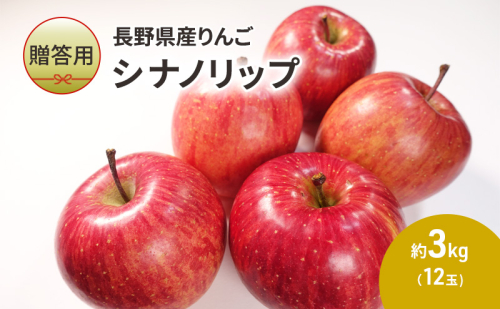 りんご 先行予約 長野 贈答用 リンゴ シナノリップ 約3kg （12玉） 産地直送 ギフト プレゼント 贈答 贈答品 贈り物 フルーツ 果物 デザート おやつ 林檎 旬 信州 長野県 長野県産 2024 2024年 予約 令和6年度発送 1293337 - 長野県駒ヶ根市