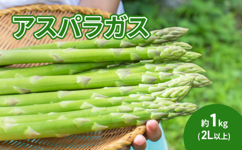 アスパラガス 約1kg(2L以上) 1293338 - 長野県駒ヶ根市