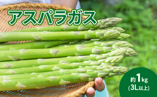アスパラガス 約1kg(3L以上) 1293339 - 長野県駒ヶ根市