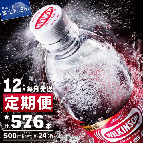 【12ヶ月お届け！】炭酸水 ウィルキンソン タンサン PET500ml×2箱 (48本入) 定期便 1293536 - 山梨県富士吉田市