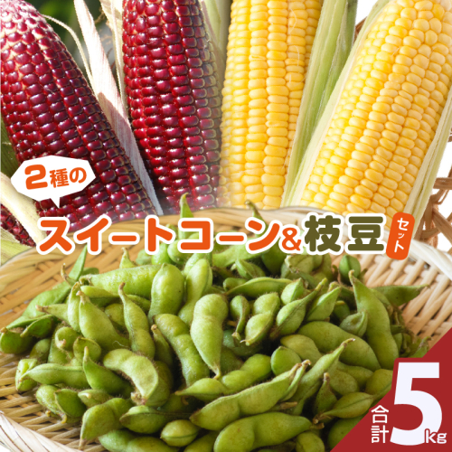 ≪期間限定≫2種のスイートコーン＆枝豆セット(合計5kg) 野菜 旬 国産_T003-009 1294374 - 宮崎県都農町