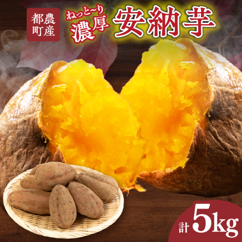 ≪期間限定≫都農町産安納芋(計5kg) 野菜 芋 イモ 国産_T016-0011 1294459 - 宮崎県都農町