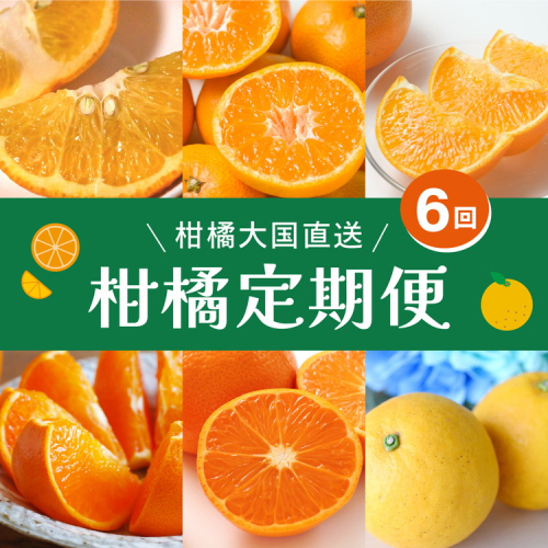【定期便】2025年11月発送開始　えひめかんきつ定期便　全6回＜みかん 柑橘 フルーツ 定期便 国産 愛媛県 ＞　※離島への配送不可　※2025年11月下旬～2026年4月下旬頃に順次発送予定 1296123 - 愛媛県鬼北町