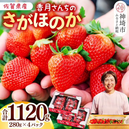 【先行受付 令和8年1月より発送開始】香月さんちのいちご(さがほのか)280g×4パック 【いちご イチゴ 苺 さがほのか 大玉 大粒フルーツ 果物  数量限定 香月農園 佐賀県産】(H017116) 129751 - 佐賀県神埼市