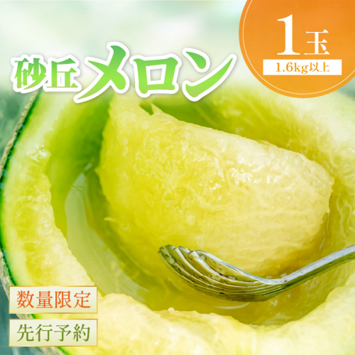 【先行予約／数量限定500】京丹後産 砂丘メロン 大玉2L以上 1玉（2025年7月下旬～発送）
 1297695 - 京都府京丹後市