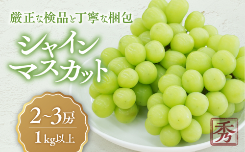 シャインマスカット「こだわり」１kg以上　2～3房　人気　おすすめ　国産　贈答　ギフト　お取り寄せ　　山梨県産　産地直送　フルーツ　果物　くだもの　ぶどう　ブドウ　葡萄　シャイン　シャインマスカット　新鮮　CD-1 1297921 - 山梨県甲斐市