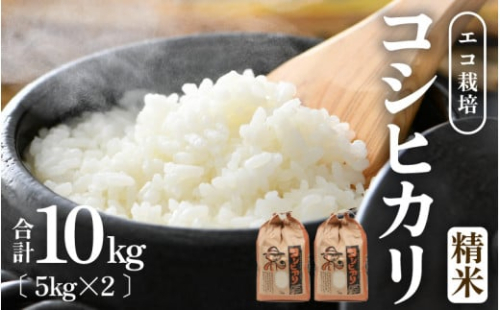 【先行予約】【令和7年産 新米】エコ栽培コシヒカリ 白米10kg（5kg×2） ／ 鮮度抜群 福井県産 こしひかり ご飯 新鮮 白米 ※2025年10月上旬より準備出来次第発送 [aw063-b008]