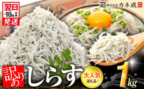 訳あり 釜揚げ しらす 1kg (1箱) 小分け 減塩 無添加 無着色 冷凍 愛知県 南知多町 ご飯 ごはん 丼 料理 国産 カネ成 シラス 人気 おすすめ