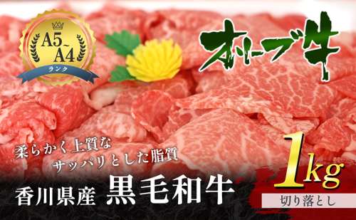 黒毛和牛 オリーブ牛 切り落とし 1kg 牛肉  肉 お肉 和牛  牛切り落とし 牛切落し A4 A5 香川 香川県 東かがわ市 13052 - 香川県東かがわ市