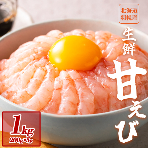 超速リキッド凍結でドリップゼロ！北海道羽幌産生鮮甘えび 1kg（200g×5パック）【03112】 1305528 - 北海道羽幌町