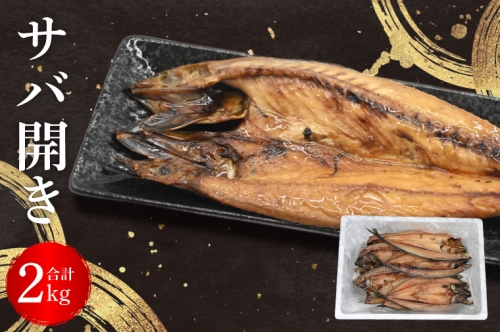 サバ 干物 2kg 箱詰め 鯖 開き 半身 ひもの 大洗町 焼魚 焼き魚 魚 魚介 海鮮 海産物 冷凍 工場直送 おかず おつまみ 1305765 - 茨城県大洗町