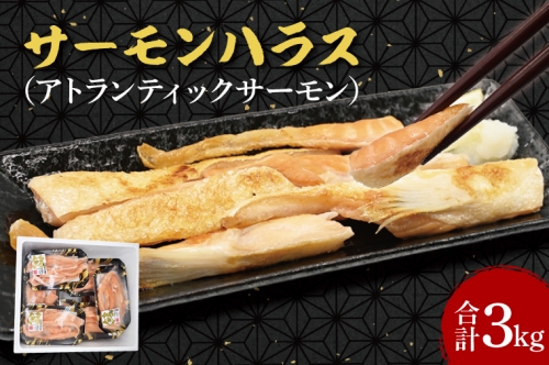 サーモン ハラス 3kg (200ｇ×15p) アトランティックサーモン 鮭 鮭はらす 干物 ひもの 大洗町 焼魚 焼き魚 魚 魚介 海鮮 海産物 冷凍 工場直送 おかず おつまみ 1305766 - 茨城県大洗町