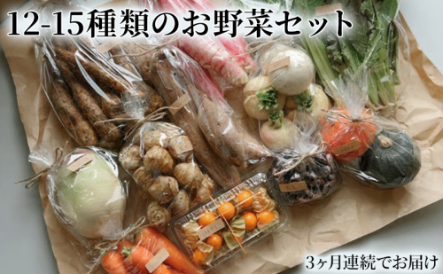 野菜の定期便 てのひら小諸 12～15種類 3ヶ月連続お届け  1306818 - 長野県小諸市