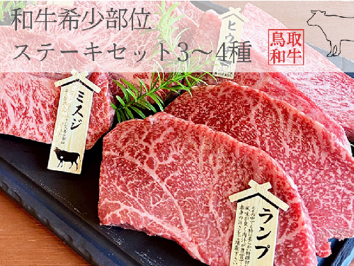 鳥取和牛希少部位ステーキセット 計500g 鳥取県産 MK11 1002 1307332 - 鳥取県江府町