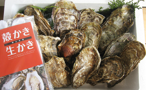 牡蠣 2026年 先行予約 殻付き 大つぶ牡蠣 30個 山銀商店 瀬戸内海虫明湾産 大粒  130858 - 岡山県瀬戸内市