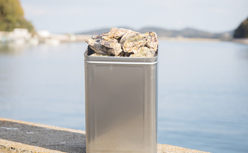 牡蠣 2026年 先行予約 殻付き牡蠣 お徳用 一斗缶 （小粒 約100個、約10kg） 山銀商店 瀬戸内海虫明湾産 生牡蠣 かき 魚介類 カキ 軍手 ナイフ付き 加熱調理用  130862 - 岡山県瀬戸内市