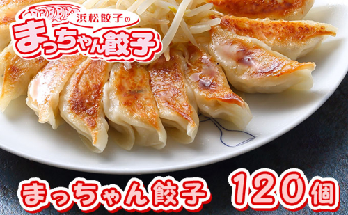 浜松餃子 まっちゃん 餃子 計120個 (40個入×3袋) セット 浜松 冷凍餃子 生餃子 ギョーザ 小分け おかず 惣菜 お弁当 弁当 おつまみ つまみ 中華 点心 加工食品 冷凍食品 冷凍 冷凍配送 静岡 静岡県 浜松市 配送不可：沖縄県・離島 131021 - 静岡県浜松市