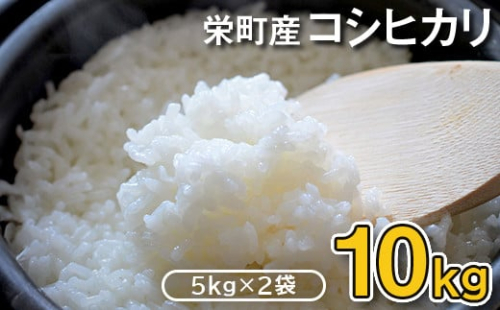 令和7年産米 先行予約 栄町産コシヒカリ10kg（5kg×2袋）北王ファーム 25-3 ※沖縄・離島への配送不可 ※2025年9月下旬頃より順次発送予定｜令和7年産 白米 新米 先行予約 精米 お米 コメ コシヒカリ ごはん お弁当 おにぎり 人気 おすすめ