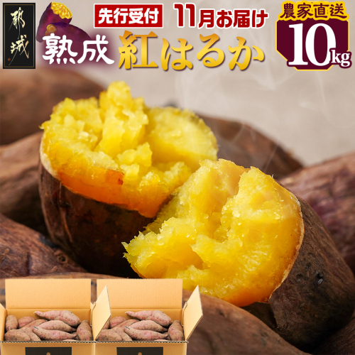 先行受付!【11月お届け】【農家直送】山下農園　熟成紅はるか 10kg_AA-I705-11 1312110 - 宮崎県都城市