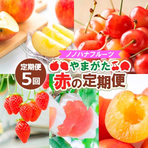 【定期便5回】ノノハナフルーツ やまがた赤の定期便 FY25-812 1312819 - 山形県山形市