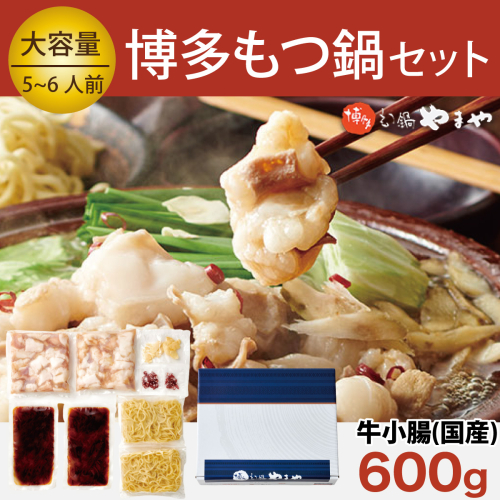 もつ鍋 博多もつ鍋やまや もつ鍋セット あごだし醤油味 5～6人前 ちゃんぽん麺 薬味付 [やまやコミュニケーションズ 福岡県 宇美町 um40azo860004] もつ鍋セット モツ鍋 国産 牛モツ 牛ホルモン 131310 - 福岡県宇美町