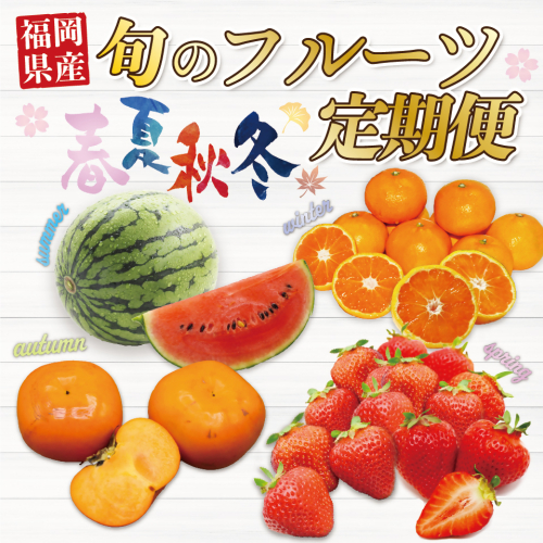 【年4回春夏秋冬】福岡旬のフルーツ定期便（3・6～7・10～11・11～12月）【随時開始】[F5360] 1314251 - 福岡県福津市