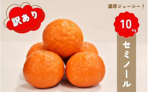 【先行予約】橋本農園の 訳あり セミノール 10kg 【2025年3月中旬から4月中旬に順次発送】 / セミノール 柑橘 フルーツ 果物 くだもの 先行予約 訳あり 1314722 - 三重県紀宝町