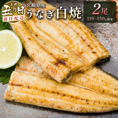 前日配送予約［土用丑の日］うなぎ 白焼き ギフト 2尾（110～150g/1尾あたり）宮崎県産鰻 蒲焼きタレ付（50ml×1本）配送日指定可 国産 有頭 熨斗 贈答品 ※2025年7月30日配送【N43-B25】 1316937 - 宮崎県新富町