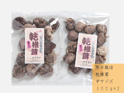 中尾さんちの乾椎茸 中  100g 2袋 原木栽培 干しシイタケ 普通サイズ / SAC中尾 椎茸屋 0798 1317477 - 鳥取県江府町