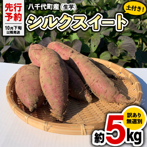 訳あり 無選別 八千代町産 シルクスイート 生芋 土付き 約 5kg さつまいも サツマイモ 芋 いも イモ ワケアリ 訳アリ 八千代町 ふるさと納税 5000円 【 先行予約 2025年10月下旬以降発送 】 [AX047ya] 1317783 - 茨城県八千代町