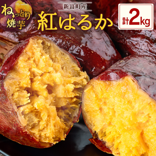 特製焼き芋！熟成蜜芋「紅はるか」計2kg 国産 新富町産［12月～5月出荷］さつまいも ねっとり焼芋 イモ【A310-1205】 1317791 - 宮崎県新富町