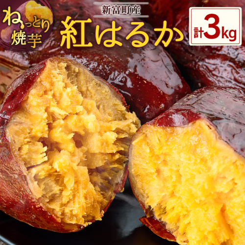 特製焼き芋！熟成蜜芋「紅はるか」計3kg 国産 新富町産［12月～5月出荷］さつまいも ねっとり焼芋 イモ【B641-1205】 1317792 - 宮崎県新富町