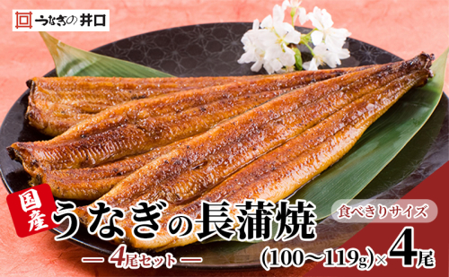 食べきりサイズ ITI優秀味覚賞受賞】長蒲焼4尾セット うなぎ 鰻 ウナギ 静岡県 浜松市 【配送不可：離島】  1318674 - 静岡県浜松市