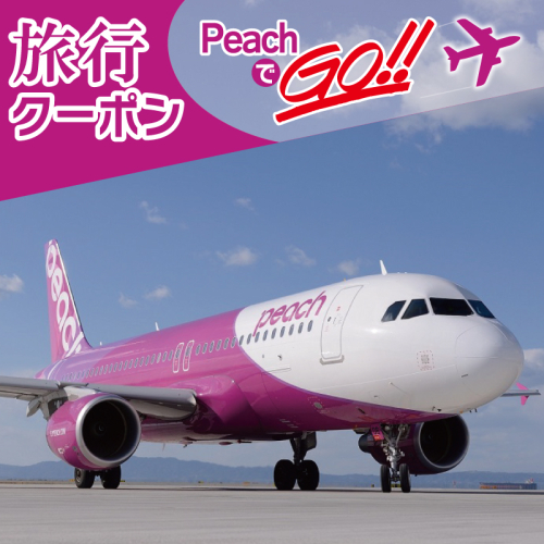 PeachでGo！！泉佐野市宿泊 旅行クーポン（300,000円分）【宿泊 旅行 ホテル トラベル】 099H389 132526 - 大阪府泉佐野市