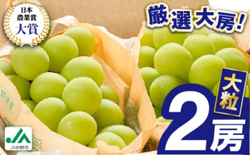 2025年先行予約　9月上旬～10月下旬発送JA中野市大粒 大房シャインマスカット2房1.3kg以上_ シャインマスカット 長野県 2024 4L 贈答用 ギフト ふるさと ぶどう 葡萄 ブドウ フルーツ 果物 ＜配送不可地域：離島＞【1459211】