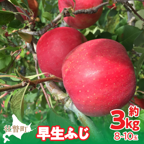 ＜2025年10月中旬よりお届け＞ 北海道壮瞥町 りんご 品種名「早生ふじ」8～10玉約3kg SBTF002 1325887 - 北海道壮瞥町