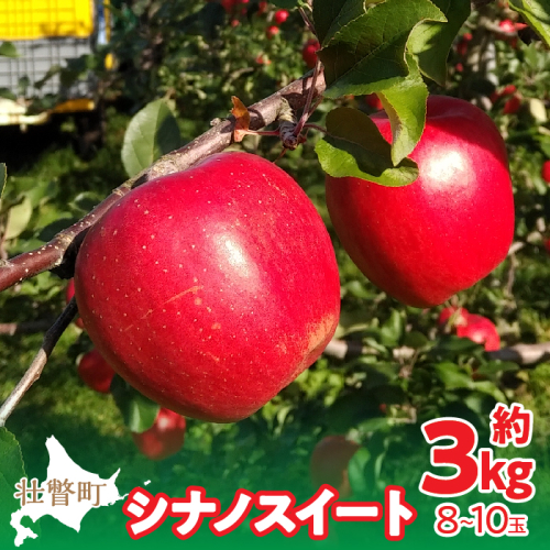 ＜2025年10月下旬よりお届け＞ 北海道壮瞥町 りんご 「シナノスイート」8～10玉約3kg  SBTF003 1325889 - 北海道壮瞥町