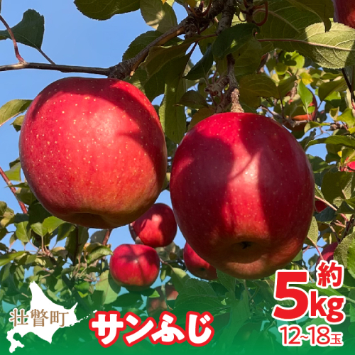 ＜2025年12月上旬よりお届け＞北海道壮瞥町　りんご　品種名「サンふじ」12～18玉約5kg  SBTF007 1325965 - 北海道壮瞥町