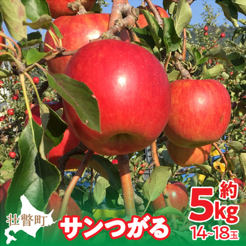 <2025年9月下旬~10月中旬頃までのお届け>北海道壮瞥町 りんご 品種名「サンつがる」14~18玉約5kg SBTF010 1325971 - 北海道壮瞥町