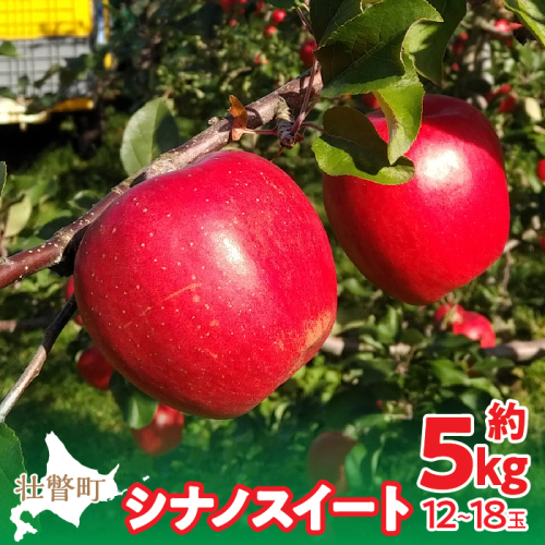 ＜2025年10月下旬よりお届け＞北海道壮瞥町 りんご「シナノスイート」12～18玉約5kg  SBTF012 1325975 - 北海道壮瞥町