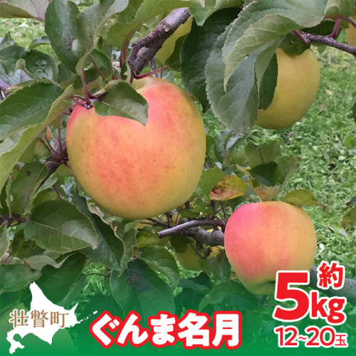 ＜2025年11月中旬よりお届け＞北海道壮瞥町 りんご「ぐんま名月」12～20玉約5kg  SBTF013 1325976 - 北海道壮瞥町