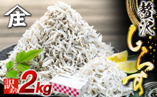 しらす 2kg ( 1kg × 2箱 ) 訳あり 冷凍 ちりめん しらす干し 減塩 釜揚げ ごはん 丼 パスタ チャーハン サラダ 魚 料理 愛知県 南知多町 師崎