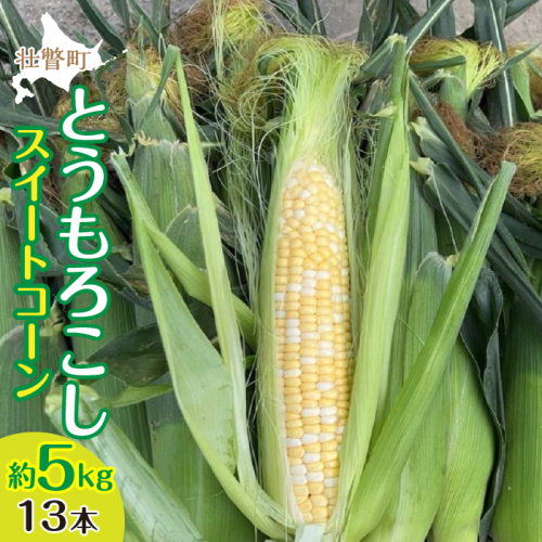 <2025年8月上旬よりお届け>北海道壮瞥産 とうもろこし(スイートコーン)13本 約5kg SBTN001 1326096 - 北海道壮瞥町