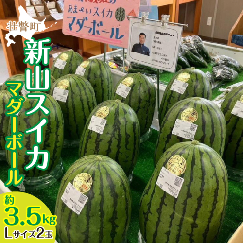 <2025年8月上旬よりお届け>北海道壮瞥産 新山すいか 小玉すいか(マダーボール)Lサイズ2玉 スイカ SBTN002 1326131 - 北海道壮瞥町
