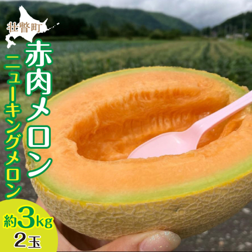 ＜2025年7月下旬よりお届け＞北海道壮瞥産 赤肉メロン（ニューキングメロン）2玉 約3kg SBTN003 1326132 - 北海道壮瞥町