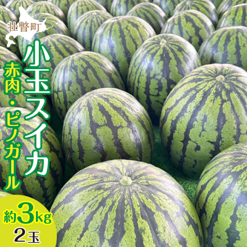 <2025年8月上旬より順次お届け>北海道壮瞥産 小玉すいか(赤肉・ピノガール)2玉約3kg スイカ SBTN004 1326133 - 北海道壮瞥町