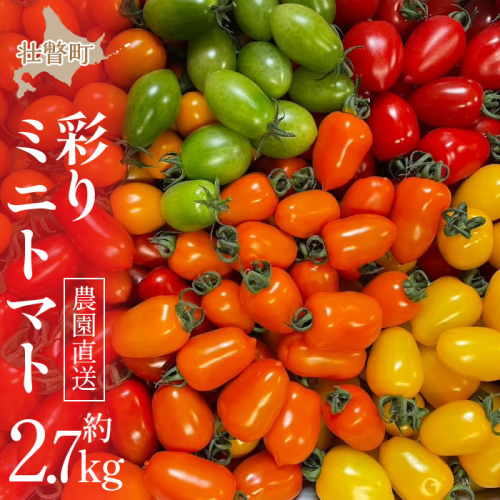 <2025年7月上旬よりお届け>【農園直送】北海道壮瞥産 彩りミニトマト約2.7kg SBTO004 1326138 - 北海道壮瞥町